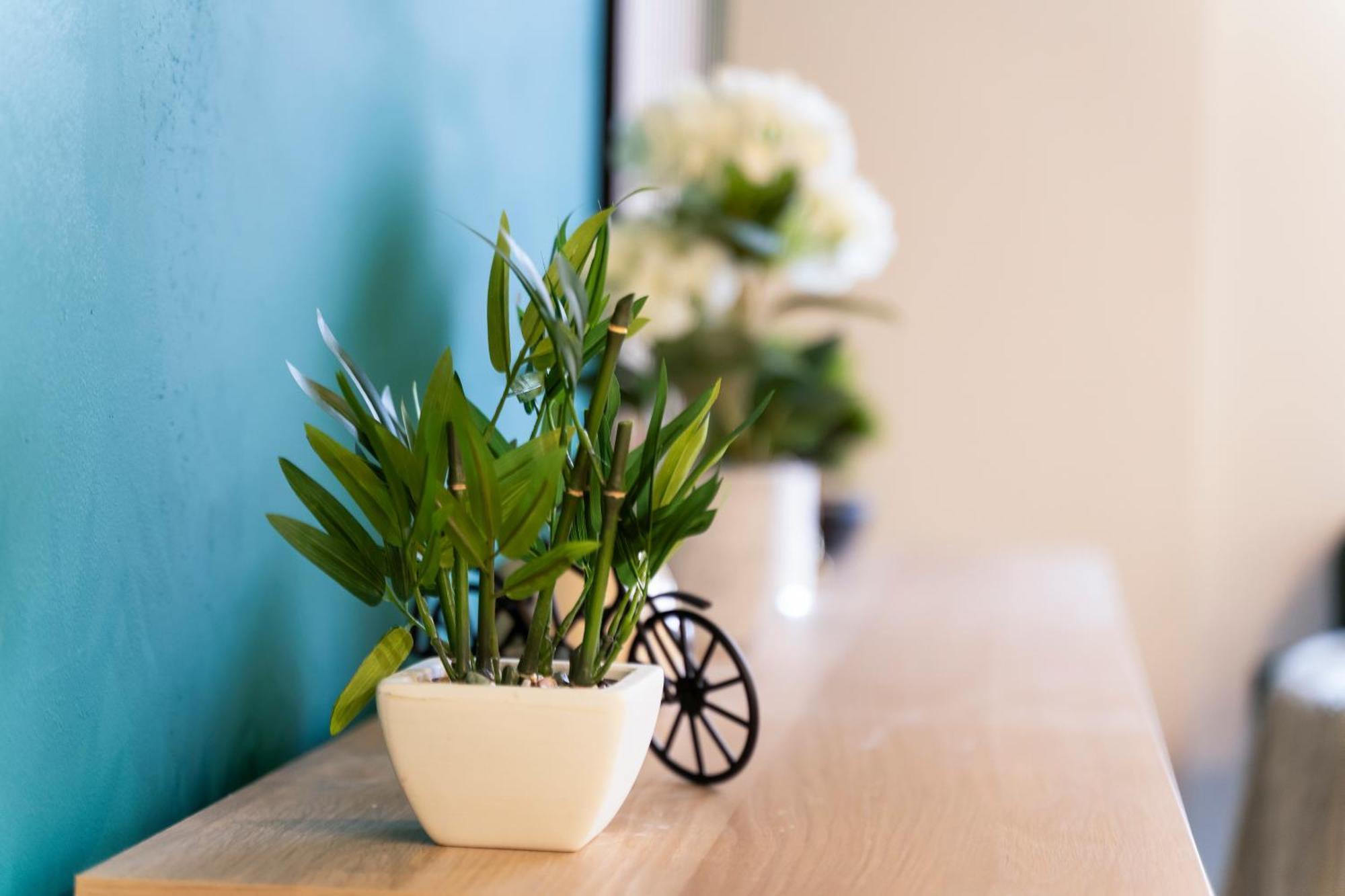 Evergreen Haven - Central 2Br - Free Parking W High Speed Wifi Бірмінгем Екстер'єр фото